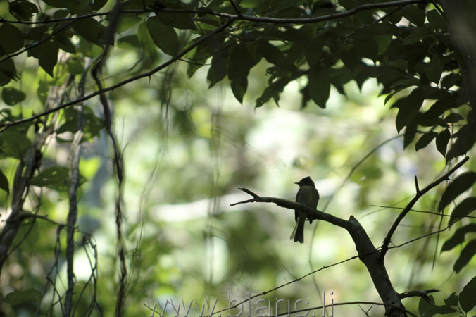 Cuba-2010-1064