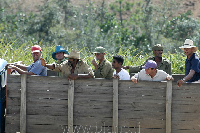 Cuba-2010-1065