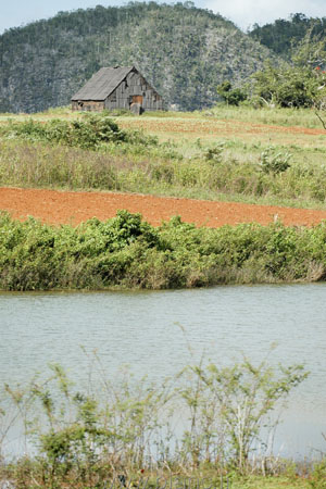 Cuba-2010-1067