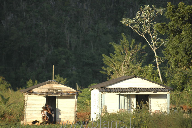 Cuba-2010-1069