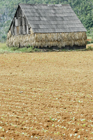 Cuba-2010-1072