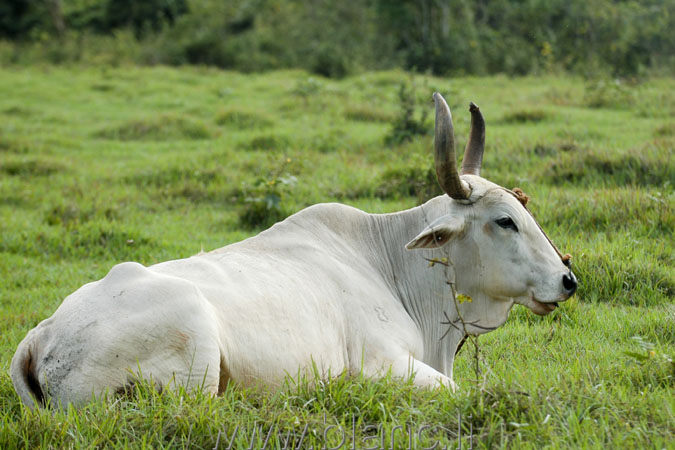 Cuba-2010-1076