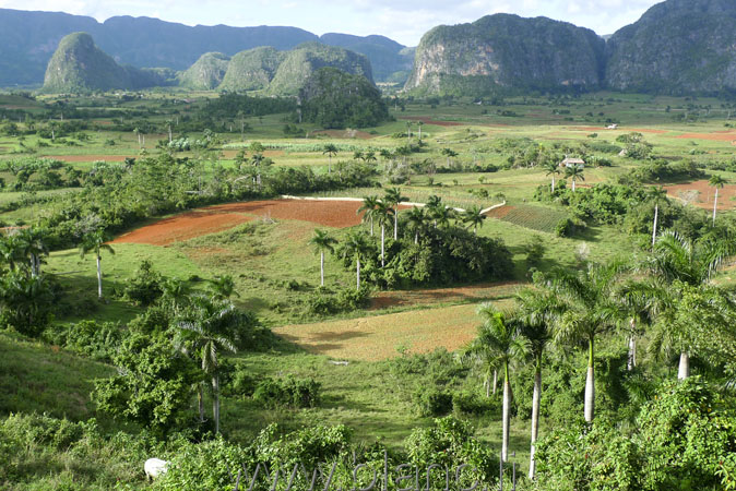 Cuba-2010-1081