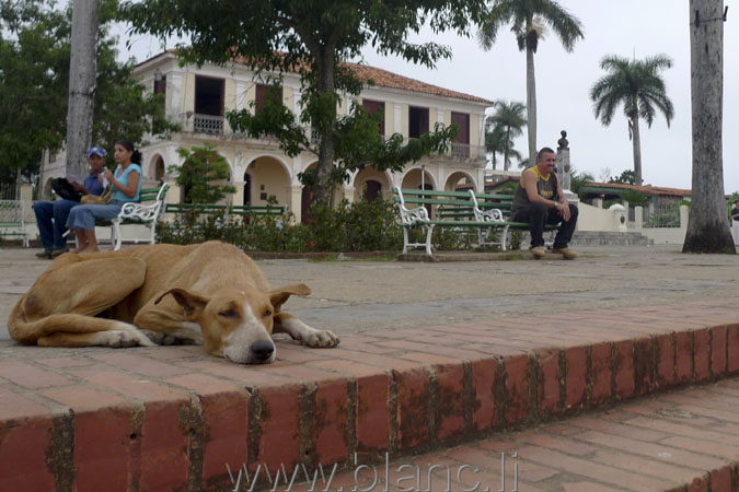 Cuba-2010-1084